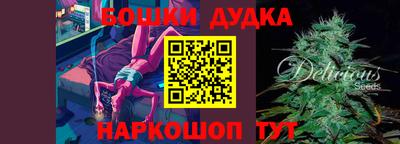 сатива Лесосибирск