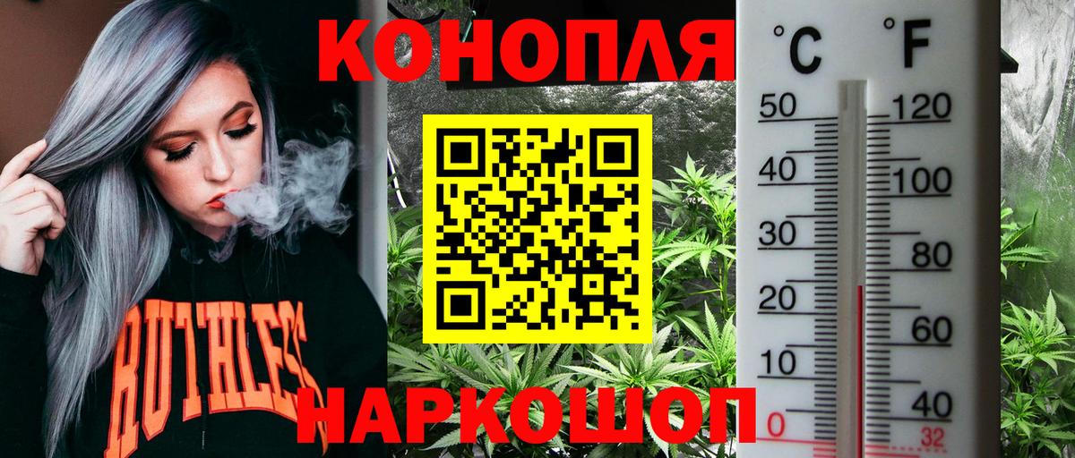 Марихуана Bruce Banner Урус-Мартан